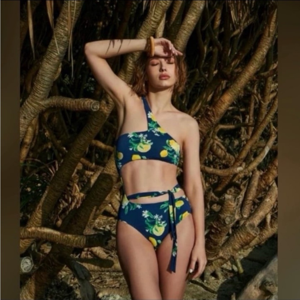 WET swimsuit navy lemons one piece
